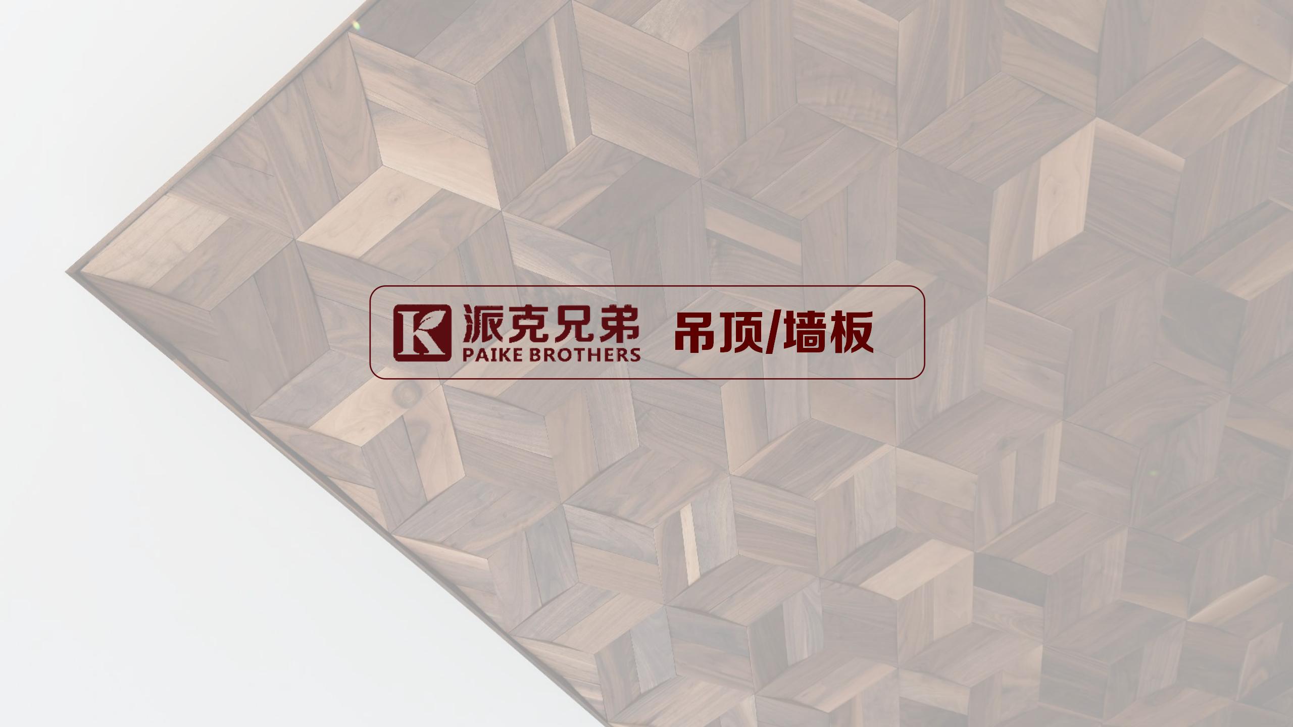 派克兄弟产品图册无联系方式版3-28_243.jpg
